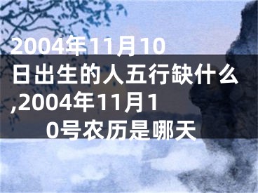 2004年11月10日出生的人五行缺什么,2004年11月10号农历是哪天