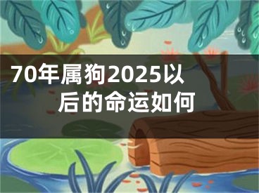 70年属狗2025以后的命运如何