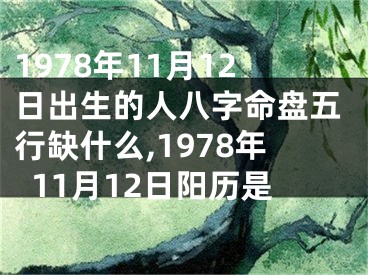 1978年11月12日出生的人八字命盘五行缺什么,1978年11月12日阳历是