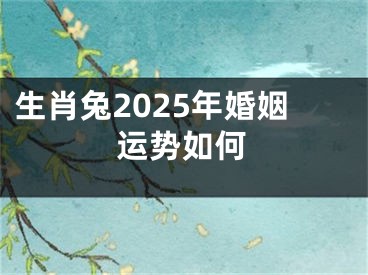 生肖兔2025年婚姻运势如何