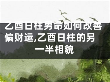 乙酉日柱男命如何改善偏财运,乙酉日柱的另一半相貌