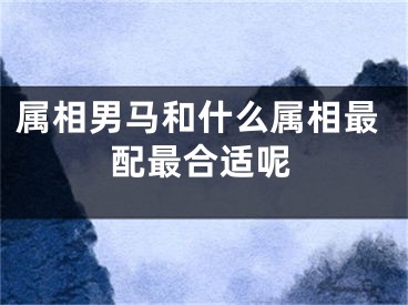 属相男马和什么属相最配最合适呢