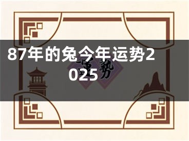 87年的兔今年运势2025