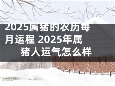 2025属猪的农历每月运程 2025年属猪人运气怎么样