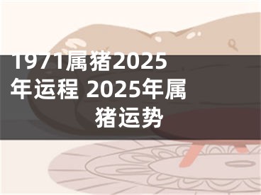 1971属猪2025年运程 2025年属猪运势