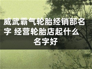 威武霸气轮胎经销部名字 经营轮胎店起什么名字好