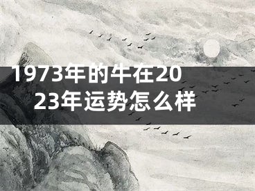 1973年的牛在2023年运势怎么样