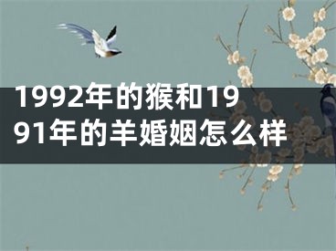 1992年的猴和1991年的羊婚姻怎么样