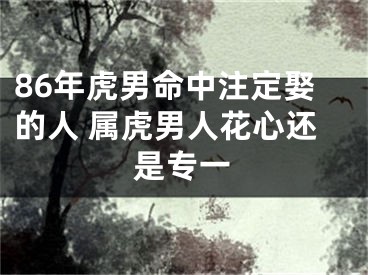 86年虎男命中注定娶的人 属虎男人花心还是专一