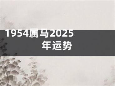 1954属马2025年运势