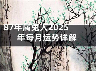 87年属兔人2025年每月运势详解