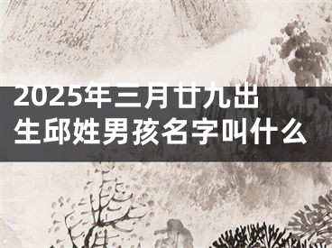 2025年三月廿九出生邱姓男孩名字叫什么