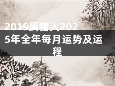 2019属猪人2025年全年每月运势及运程