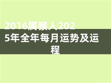 2016属猴人2025年全年每月运势及运程