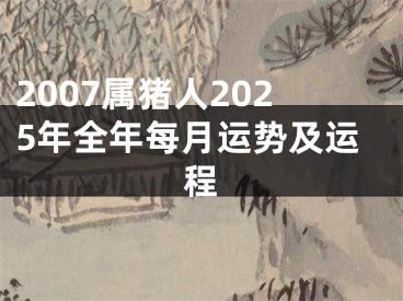2007属猪人2025年全年每月运势及运程