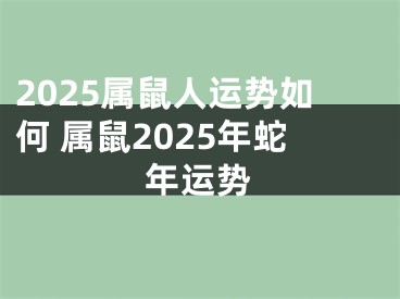 2025属鼠人运势如何 属鼠2025年蛇年运势