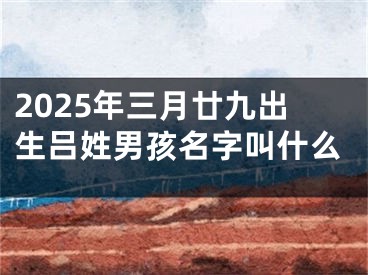 2025年三月廿九出生吕姓男孩名字叫什么