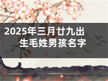 2025年三月廿九出生毛姓男孩名字