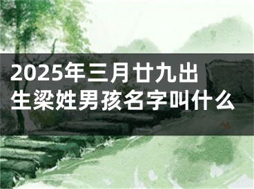 2025年三月廿九出生梁姓男孩名字叫什么