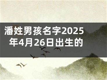潘姓男孩名字2025年4月26日出生的