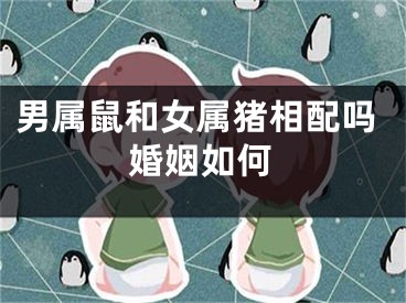 男属鼠和女属猪相配吗婚姻如何