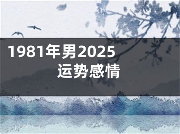 1981年男2025运势感情