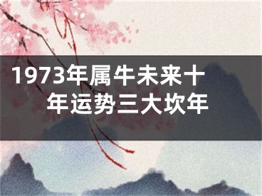 1973年属牛未来十年运势三大坎年