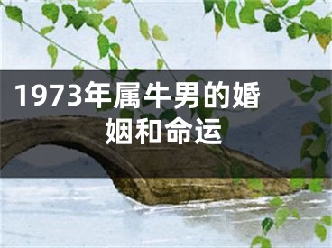 1973年属牛男的婚姻和命运