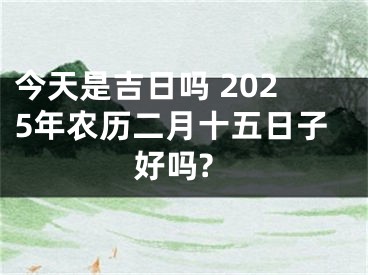 今天是吉日吗 2025年农历二月十五日子好吗?