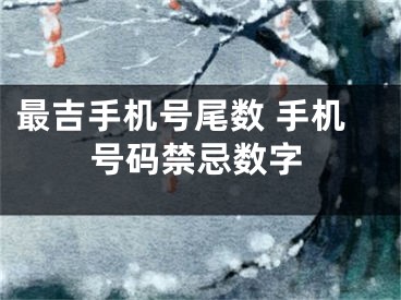 最吉手机号尾数 手机号码禁忌数字
