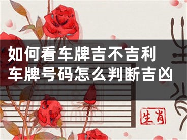 如何看车牌吉不吉利 车牌号码怎么判断吉凶