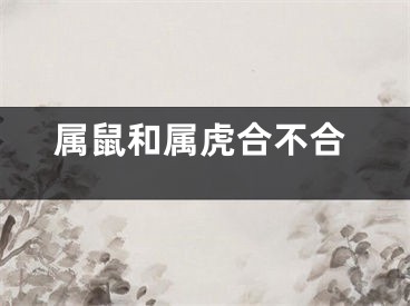 属鼠和属虎合不合