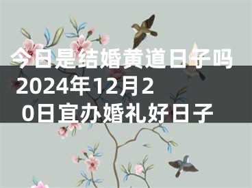 今日是结婚黄道日子吗 2024年12月20日宜办婚礼好日子