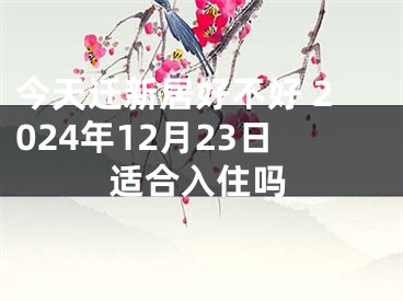 今天迁新居好不好 2024年12月23日适合入住吗