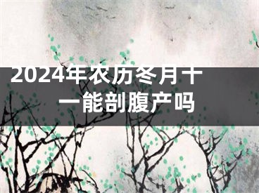 2024年农历冬月十一能剖腹产吗