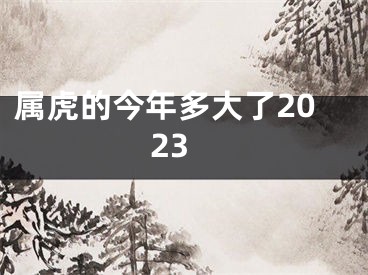 属虎的今年多大了2023