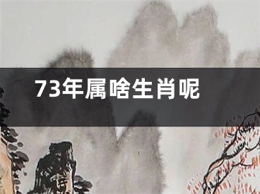 73年属啥生肖呢