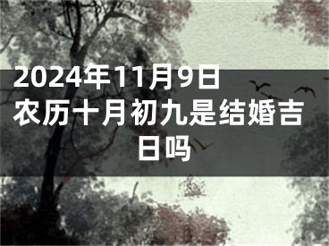 2024年11月9日农历十月初九是结婚吉日吗
