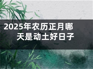 2025年农历正月哪天是动土好日子