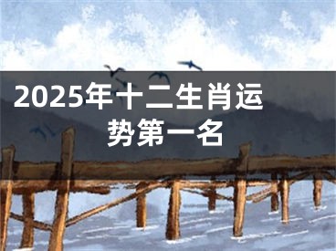 2025年十二生肖运势第一名