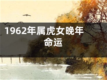 1962年属虎女晚年命运