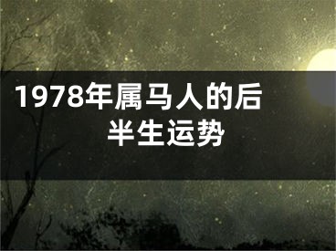 1978年属马人的后半生运势