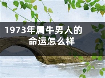 1973年属牛男人的命运怎么样