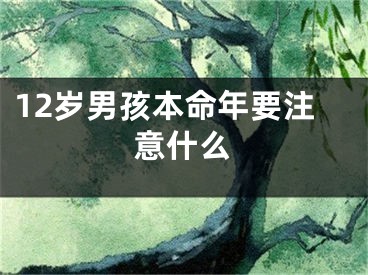 12岁男孩本命年要注意什么