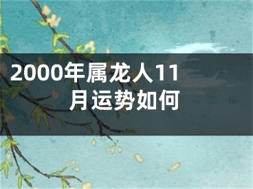2000年属龙人11月运势如何