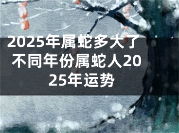 2025年属蛇多大了 不同年份属蛇人2025年运势