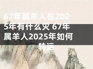 67年属羊人在2025年有什么灾 67年属羊人2025年如何转运
