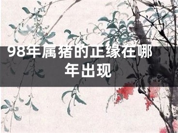 98年属猪的正缘在哪年出现