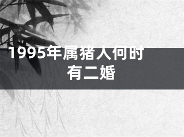 1995年属猪人何时有二婚