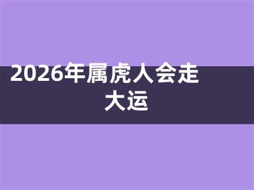 2026年属虎人会走大运